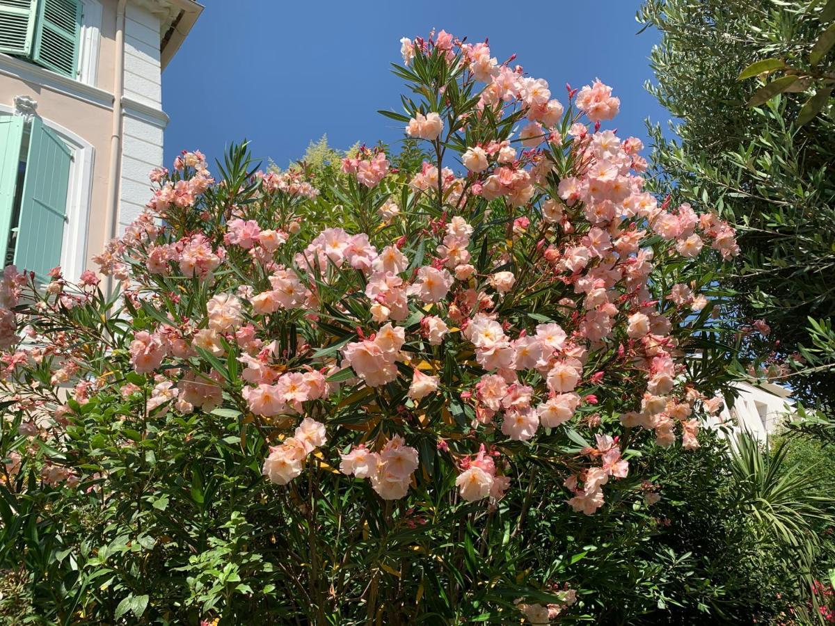 Domaine De L'Aufrene Bed & Breakfast Hyeres Exterior photo