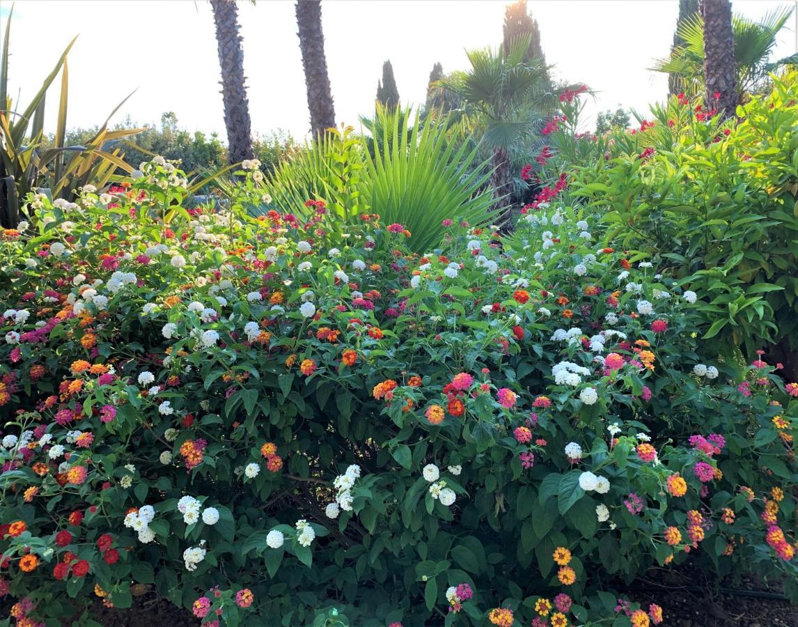 Domaine De L'Aufrene Bed & Breakfast Hyeres Exterior photo